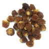 Physalis séchées BIO