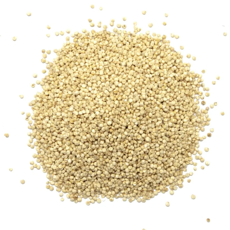 Quinoa blanc français