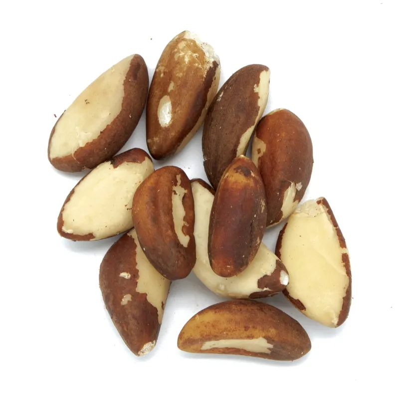 Noix du Brésil BIO - Achat, utilisation et recettes Noix du Brésil BIO - Achat, utilisation et recettes