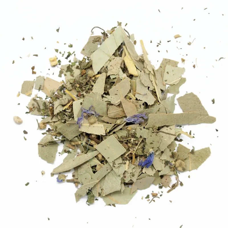 Infusion narines ÉOLE
