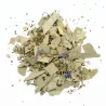 Infusion narines ÉOLE