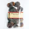 Abricots secs bruns naturels