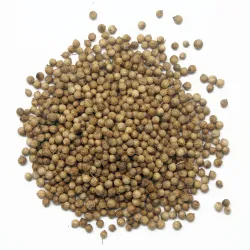 Coriandre en graines BIO mesZépices - Achat, utilisation, recettes