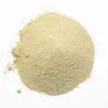 Céleri blanc en poudre (racine) - MesZépices - Achat, utilisations